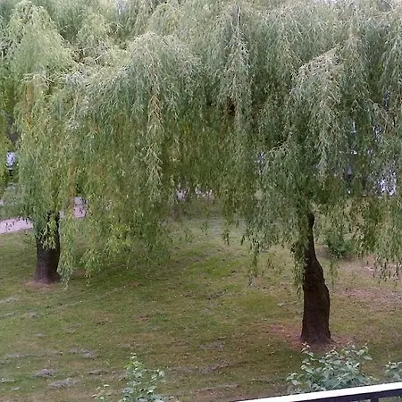 Zielona Herbowa Апартаменти *