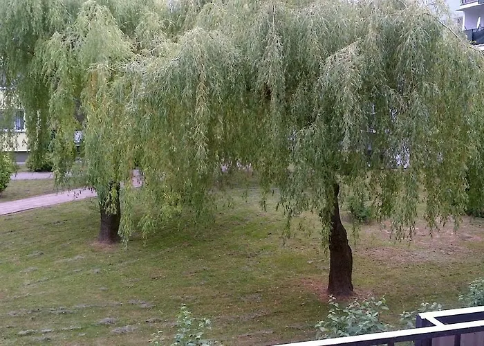 Zielona Herbowa Апартаменти *